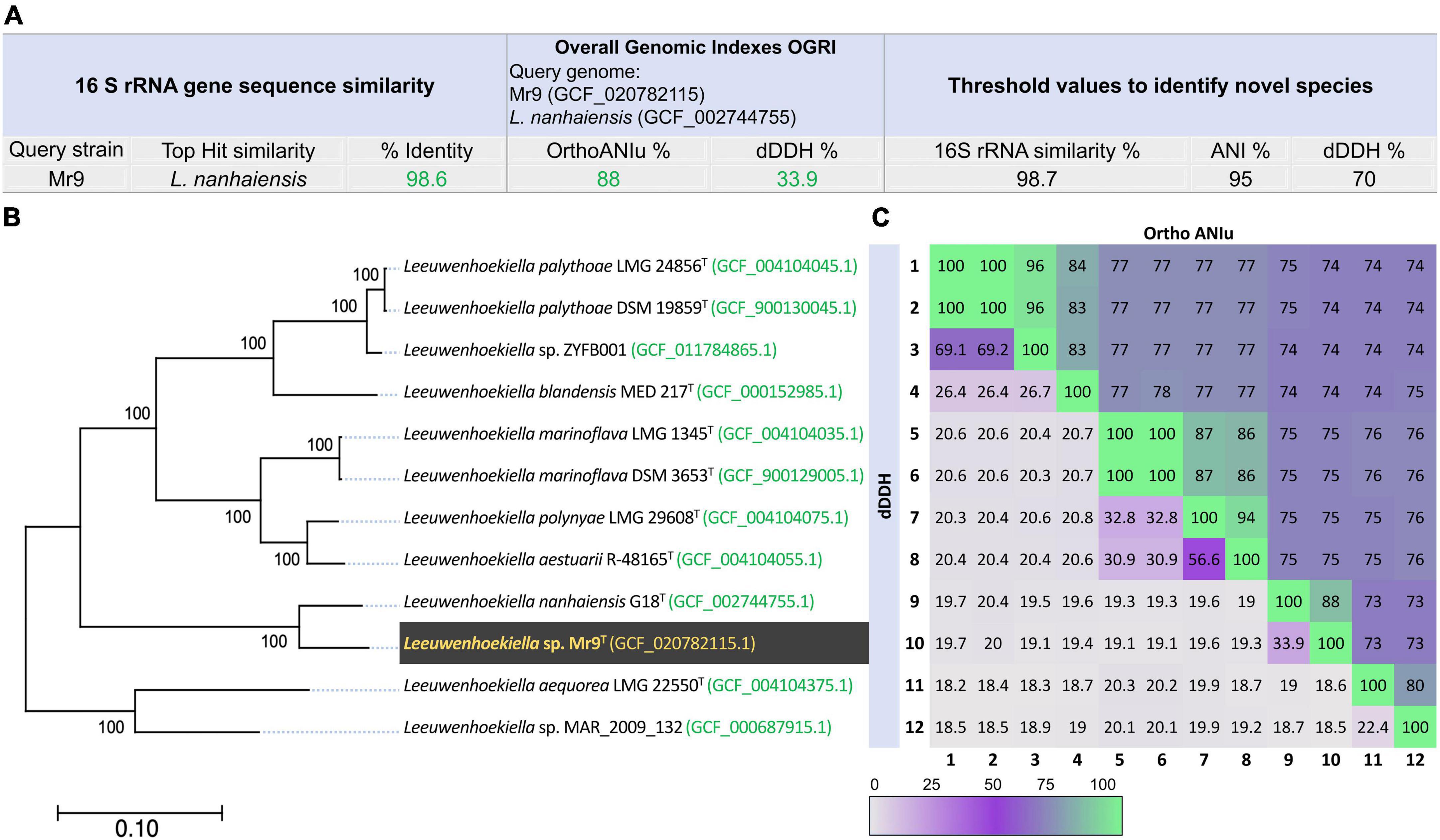 Genomic study and lipidomic bioassay of Leeuwenhoekiella parthenopeia: A novel rare biosphere marine bacterium that inhibits tumor cell viability